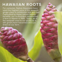 Paul Mitchell Awapuhi Wild Ginger Intensive Treatment 500ml