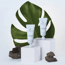 Paul Mitchell Awapuhi Wild Ginger Keratriplex Treatment - Box Of 4 For Take Home