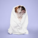 Paul Mitchell Pet Super Bright Shampoo 500ml